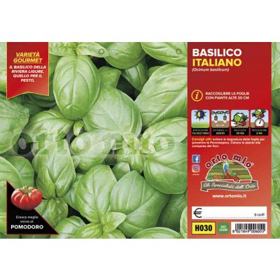 Basilico Genovese Gemma