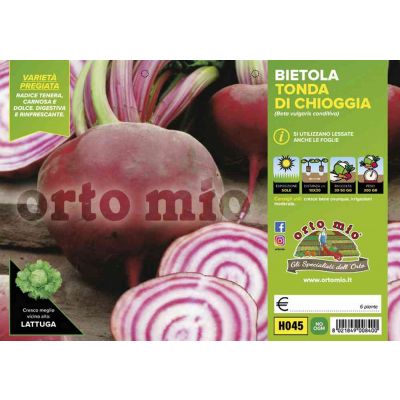 Bietola Tonda Chiog. Bersaglio H045