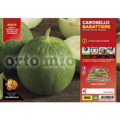 Cetriolo Tondo Di Fasano H10Z
