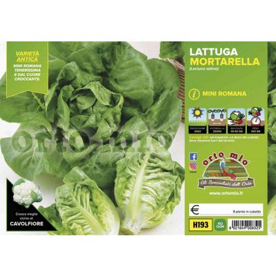 Lattuga Mortarella Autunnale H193
