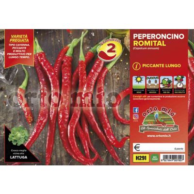 Peperone Piccante Lungo H291