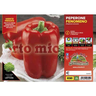 Peperone Rosso H301