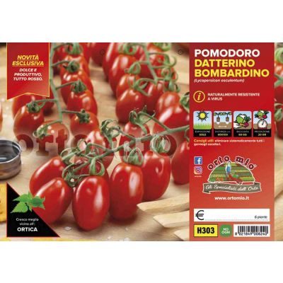 Pomodoro Datterino Tutto Rosso H303