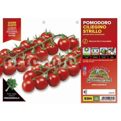 Pomodoro Ciliegino Dolce H304