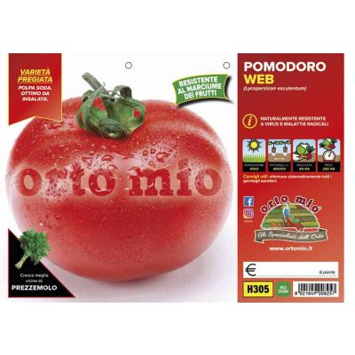 Pomodoro Tondo Mensa Web H305