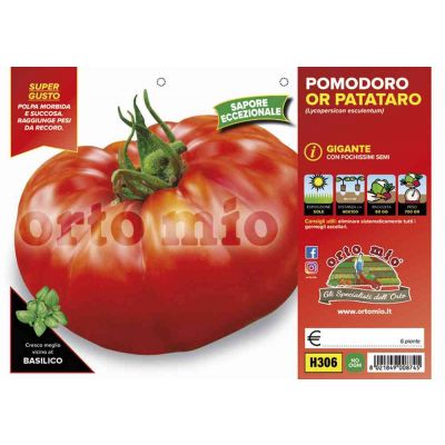 Pomodoro Gigante Or Patataro H306