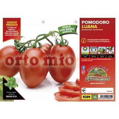 Pomodoro Ovale Luana H309