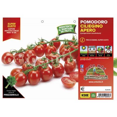 Pomodoro Ciliegino Dolcissimo Apero H30E