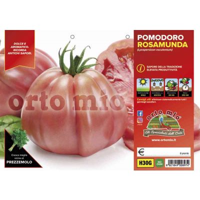 Pomodoro Cuore Ligure Rosa H30G