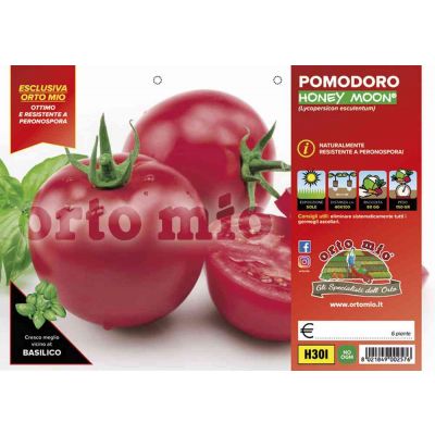 Pomodoro Tondo Honey Moon H30I