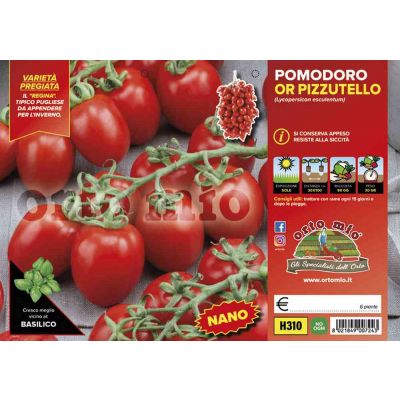 Pomodoro Regina Pizzutello H310