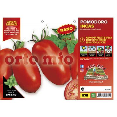 Pomodoro San Marzano H311