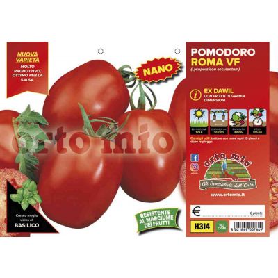 Pomodoro Roma Dawil H314