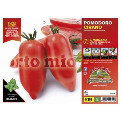 Pomodoro San Marzano  Cirano H318