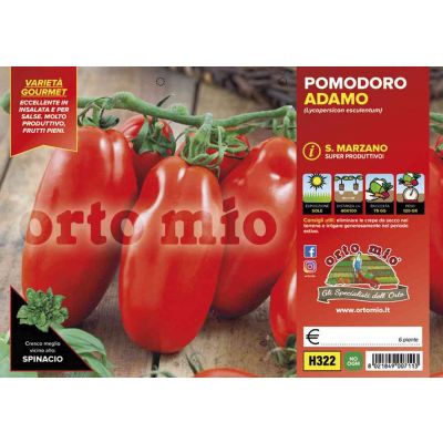 Pomodoro San Marzano  Adamo H322