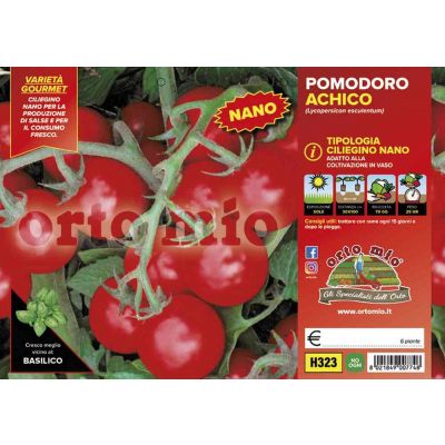 Pomodoro Ciliegino Nano Achico