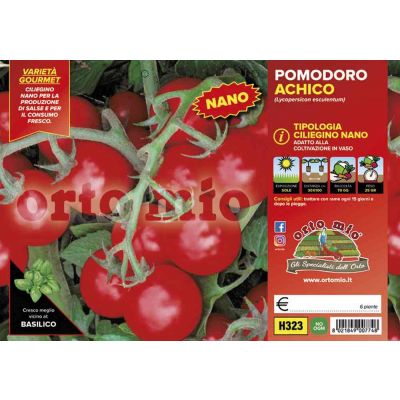 Pomodoro Ciliegino Nano Achico H323