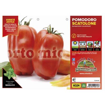 Pomodoro San Marzano Scatolone H324