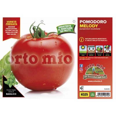 Pomodoro Tondo Mensa Melody H325