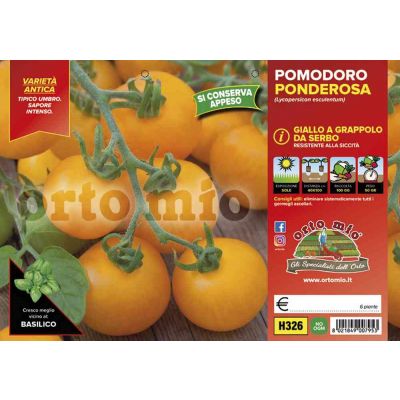 Pomodoro Da Appendere  Ponderá H326