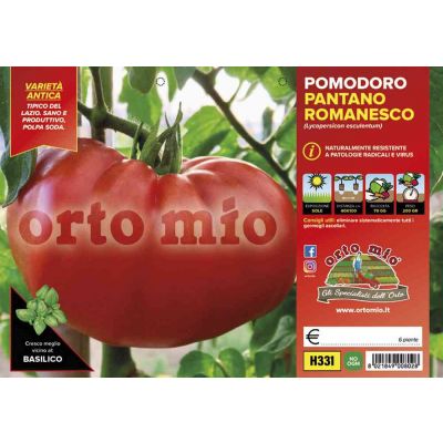 Pomodoro Pantano Monnalysa H331