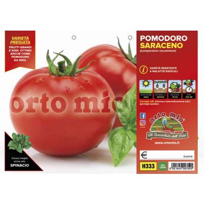 Pomodoro Tondo Mensa Saraceno H333