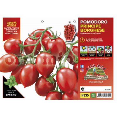 Pomodoro Da Appendere P.Borg H335