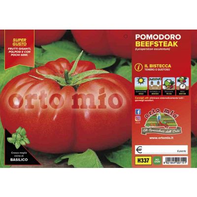 Pomodoro Gigante Beefsteak H337