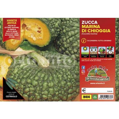 Zucca Marina Di Chioggia H414