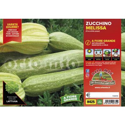 Zucchino Chiaro Cavol Fiore Melissa H425