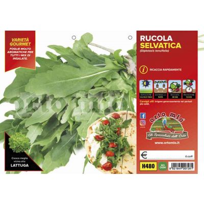 Rucola Selvatica Letizia H480