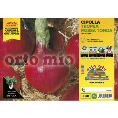 Cipolle Tropea Rossa Tonda H501