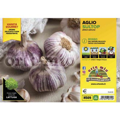 Aglio Rosso Sultop H509