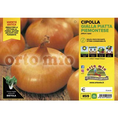Cipolle Gialla Piatta H519