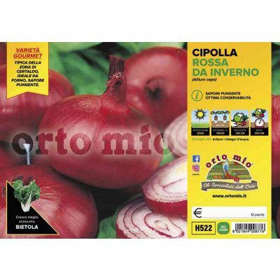 Cipolle Rossa Da Inverno H522