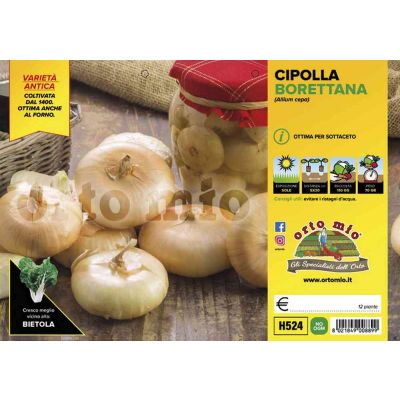 Cipolle Gialla Borettana H524
