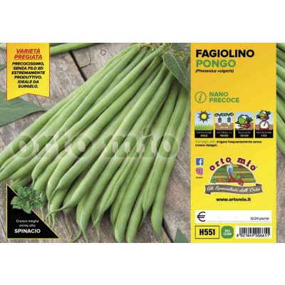 Fagiolino Nano Verde Pongo H551