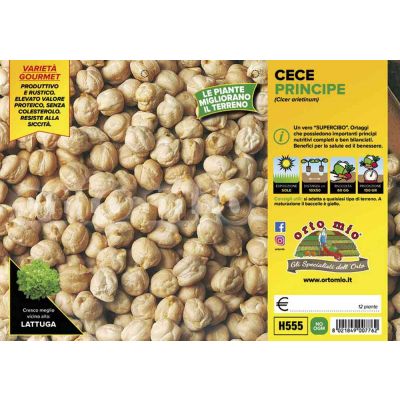 Cece Da Granella Principe H555