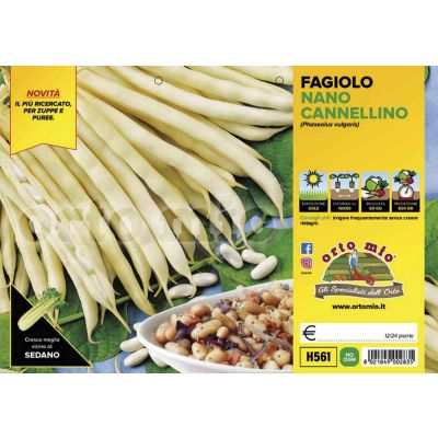 Fagiolo Nano Montalbano H561