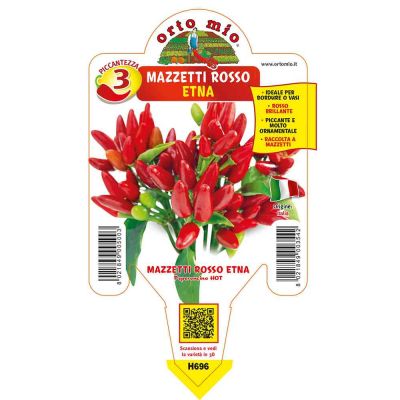 Peperoncini Rosso Mazzetti Etna in vaso 10 H696