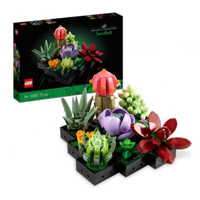 10309 Flowers Succulente
