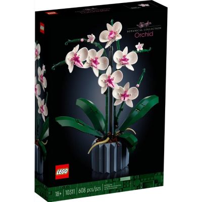 10311 Flowers Orchidea