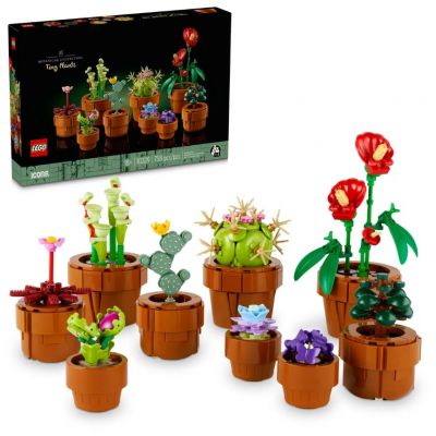10329 Flowers Piantine