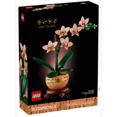 10343 Mini orchidea