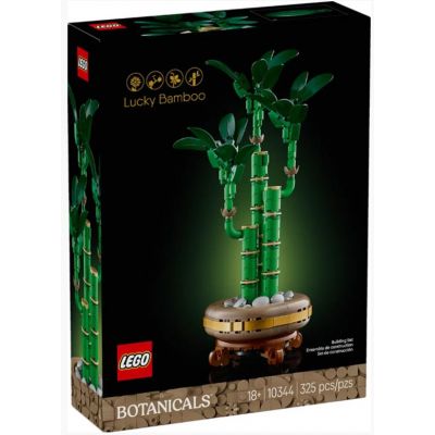 10344 Bambu' del buon auspicio