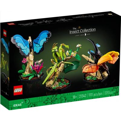 21342 collezione di insetti