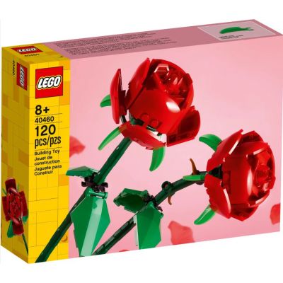 flowers rose