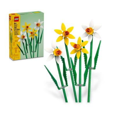  flowers narcisi
