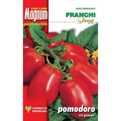 Pomodoro grande(extob) busta Magnum