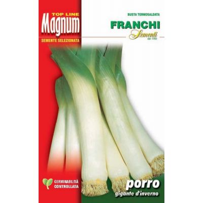 Porro geant d'hiver 2 busta Magnum